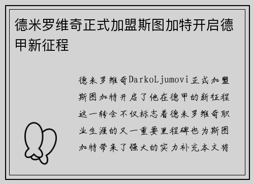 德米罗维奇正式加盟斯图加特开启德甲新征程